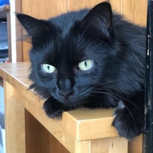 Meet your Posher, Robert